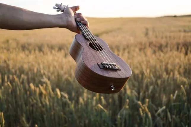 Gdzie kupić ukulele? 5 najlepszych sklepów w Polsce - ranking i opinie