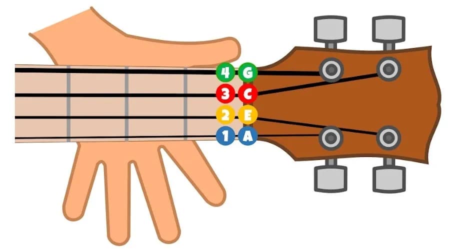 Jakie są struny w ukulele i jak je prawidłowo nastroić?