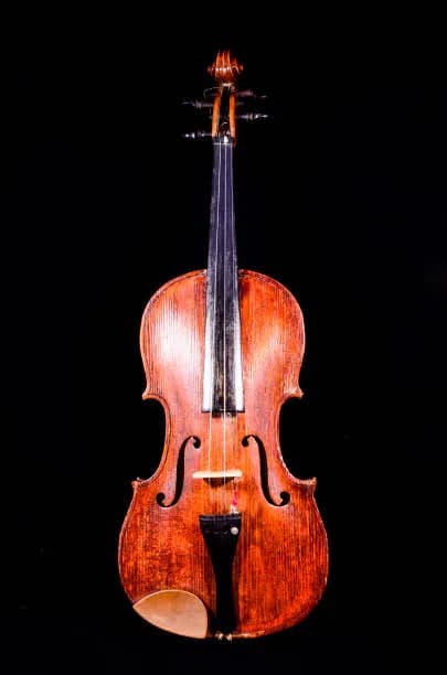 Skrzypce Stradivarius z jakiego drewna? Odkryj tajemnice ich jakości