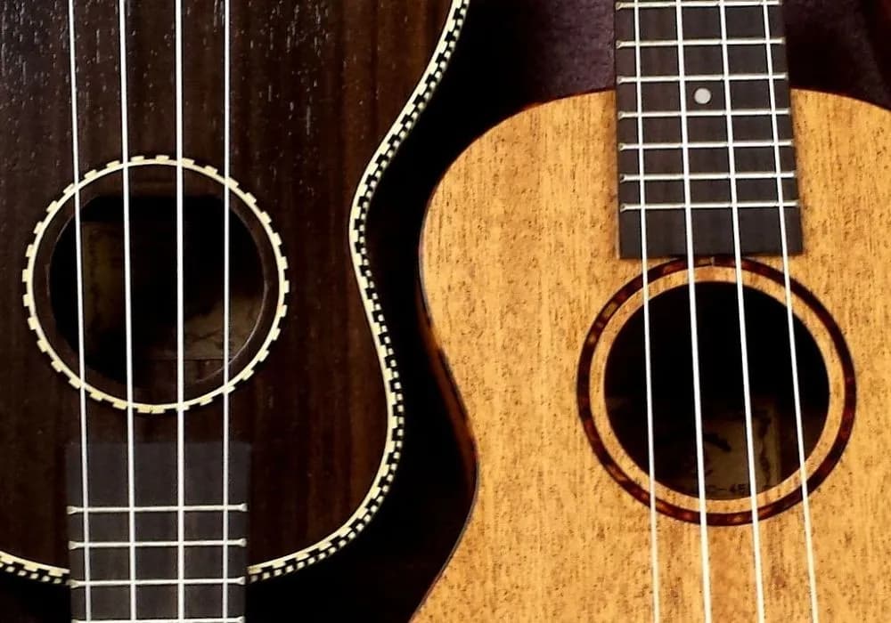 Najlepsze struny do ukulele koncertowego: 5 sprawdzonych modeli i marek