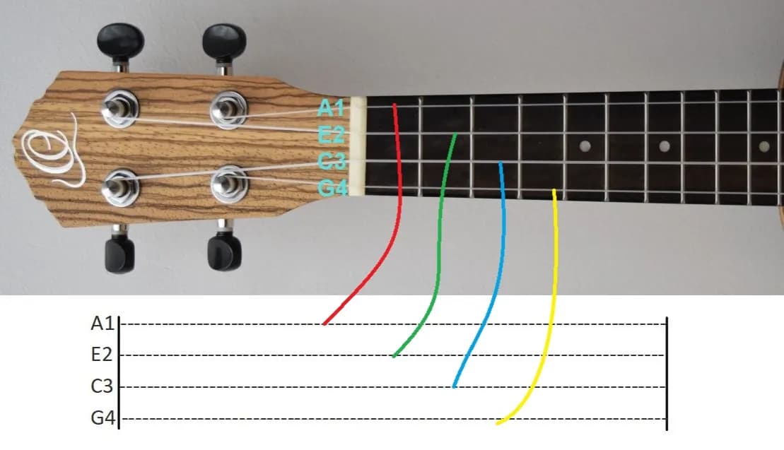 Jak czytać tabulatury ukulele - prosty sposób na szybką naukę gry