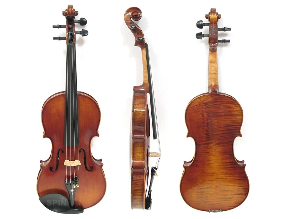 Jak wyglądają skrzypce? Poznaj wszystkie elementy tego instrumentu