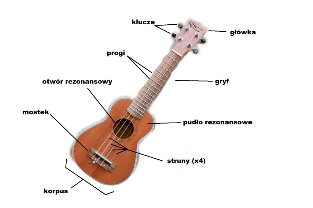Poznaj nazwy i oznaczenia wszystkich strun w ukulele - kompletny poradnik