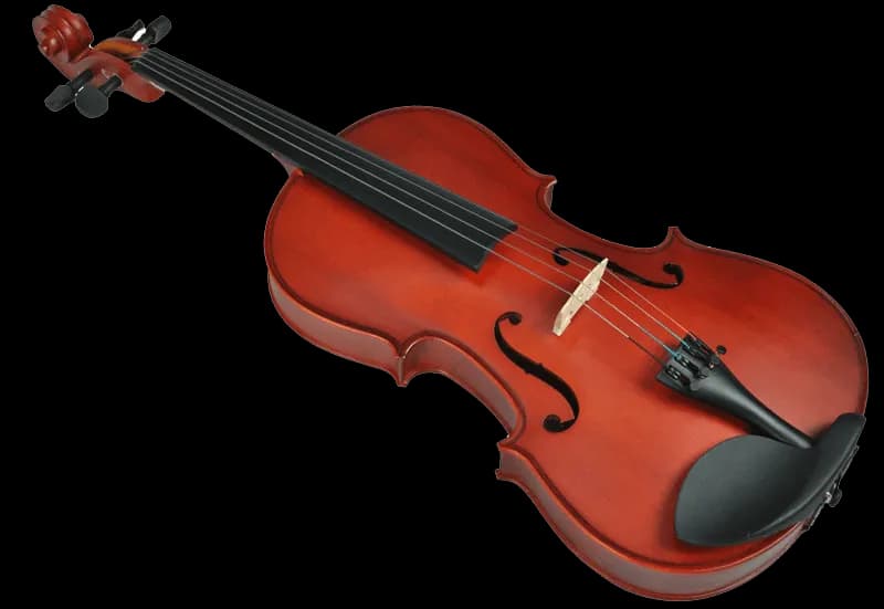 Rodzaje skrzypiec - poznaj fascynujący świat instrumentów smyczkowych