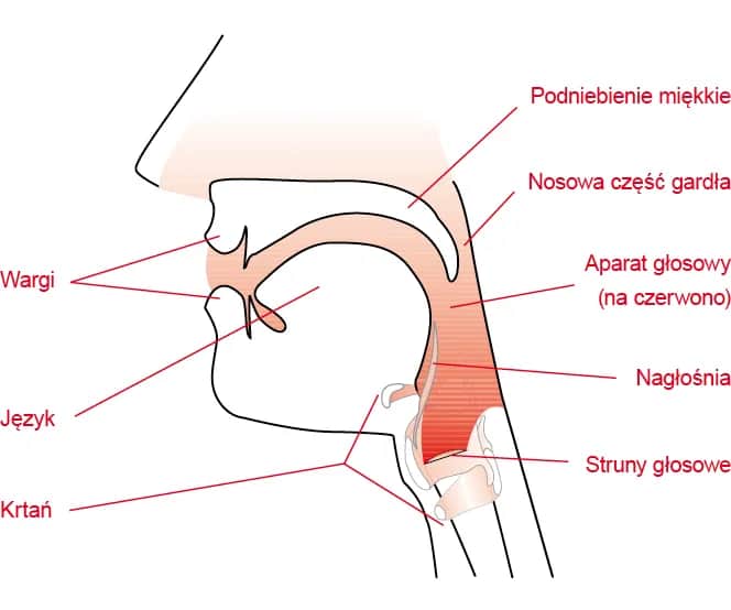 Techniki wokalne - rodzaje emisji głosu i zasady bezpiecznego śpiewania