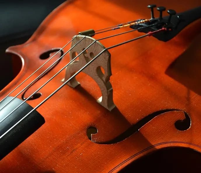 Poznaj szczegółowy opis strun w skrzypcach: budowa i strojenie instrumentu